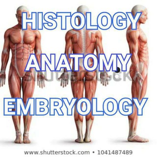 Anatomy and physiology