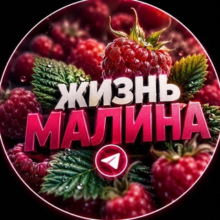 Жизнь малина🍓