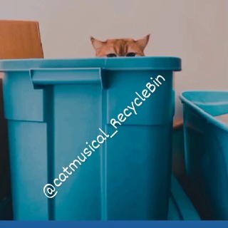 Catmusical_Recycle Bin