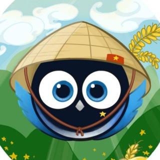 Magpie XYZ Việt Nam 🇻🇳