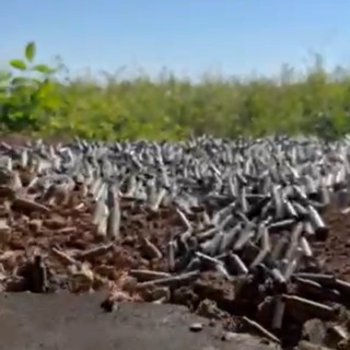 ЧОРНА ГВАРДІЯ