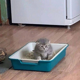 КрадоПрийомник