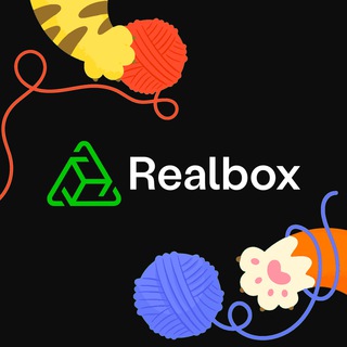 Realbox 🇻🇳 Vietnam Community