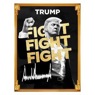 THE OFFICIAL TRUMP MEME