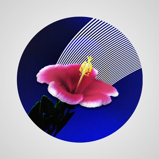 VAPORWAVE DREAMS イ タ リ ア の 領 土 で