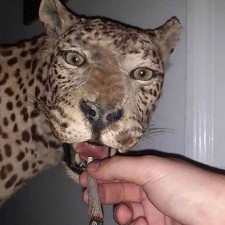 W.W