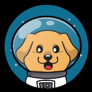 Moon Retriever