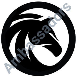 Black Stallion Ambassadors
