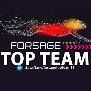FORSAGE TOP TEAM