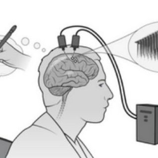 Chat of "the last neural cell"