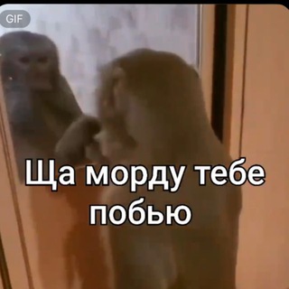 крутіє пасані тут