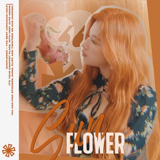 (зачинено).. sunflower help ˖🍹