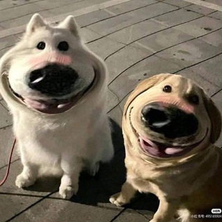 尝试赚钱