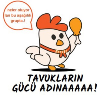 TAVUKLARIN GÜCÜ🥚🐣🐥🐤🐔🍗🦖