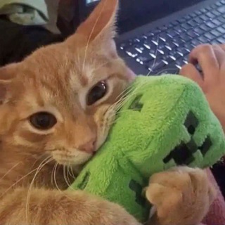 полли