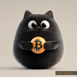 BITCAT CTO - Bitcoin’s Mascot