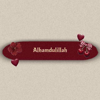 Fazliddin. Malak 2023 +2024