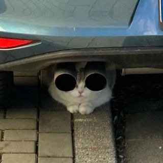 kataklizm