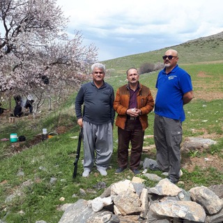 کامران ساعدی