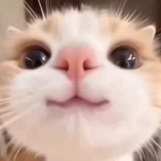 Акaшa