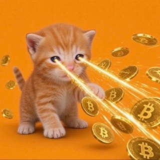 BUY THE CAT | BUYTHECAT