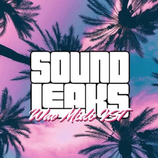 SOUND LEAKS BOT