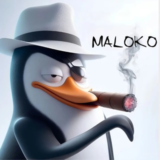 MALOKO | чат