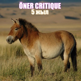 өнер critique