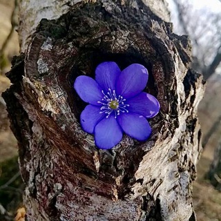 Olga Nature 🍃