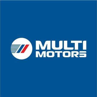 Multimotors | автомобили из Китая