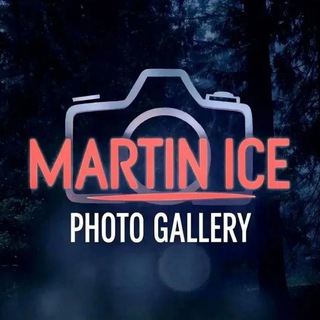 Martin Ice's Photo Gallery