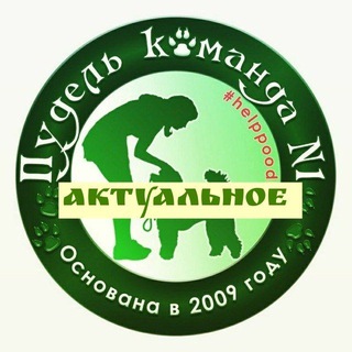 Актуальное ПудельКо (Команда помощи пуделям и мелкашам Москва)