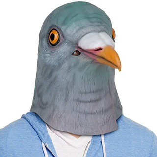 Pigeon🐦Hub