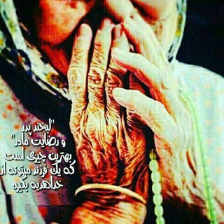 محمدرضا