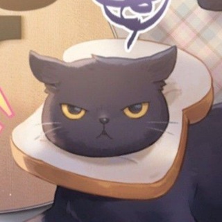 Neko social