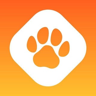 PawZone Japan 🇯🇵