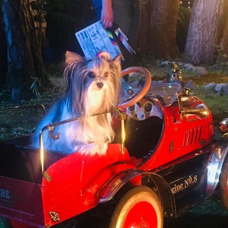 KINOZOOPARK.RU