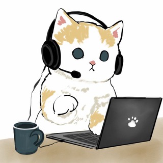 Связаться с Котом