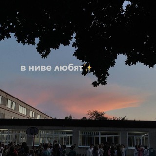 В ниве любят...
