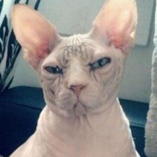 Разоблачение странных аккаунтов😱