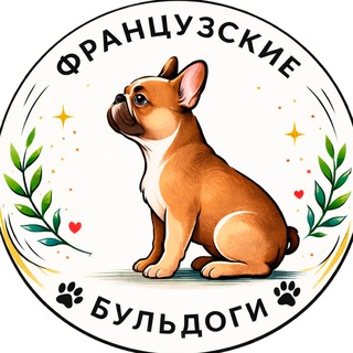 Французские бульдоги | French bulldogs