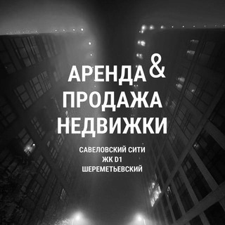 Бот Савсити / D1 / Шереметьевский