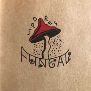 🍄