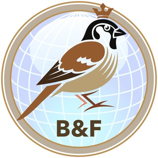 fominoff_bot
