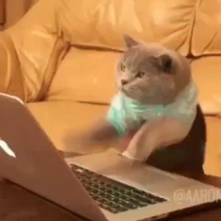 Хацкер