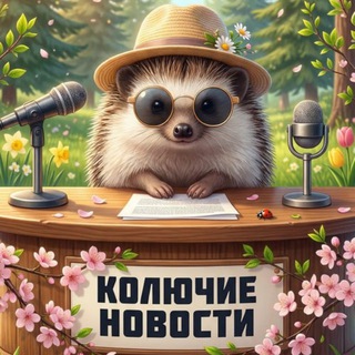 Колючие Новости - для связи