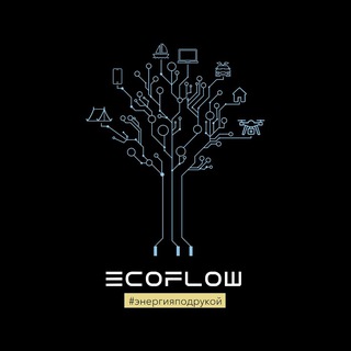 Официальный эксклюзивный дистрибьютор ECOFLOW в России
