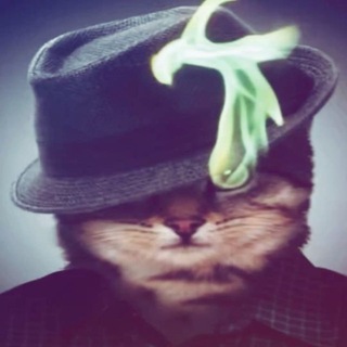 Egor