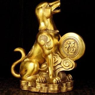 金狗社区