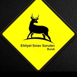 EHLİYET Sınav/Direksiyon